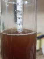 Previous brew, much lighter in color, and closer to the calculated SRM range