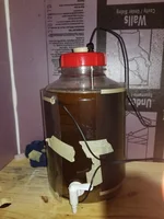 3 gallons in the fermenter