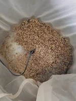 Mashing the grains
