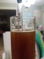 Current batch final gravity - color is closer to expected here